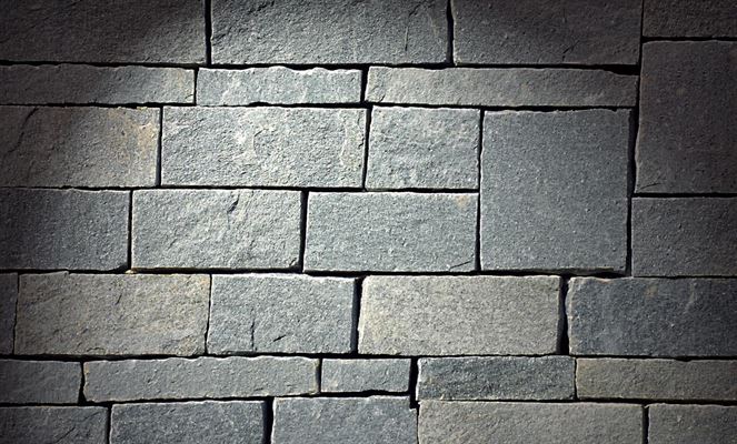 Tips: Derfor skal du få algedækkede fliser renset