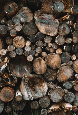 Pillemadsen.dk er klar med et bredt udvalg af hestefoder